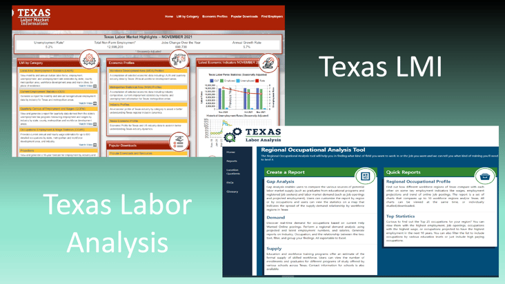 Feb_Webinar_22_TXLMI_TXLaborAnalysis